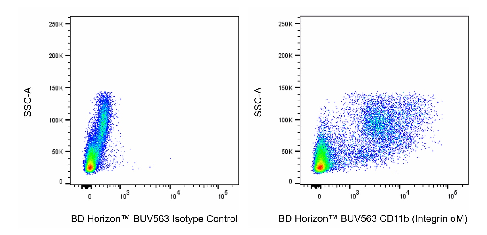 BUV563 Rat Anti-CD11b (Integrin αM)