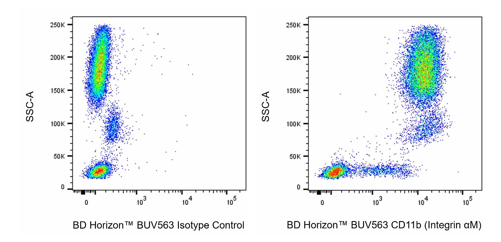 BUV563 Rat Anti-CD11b (Integrin αM)