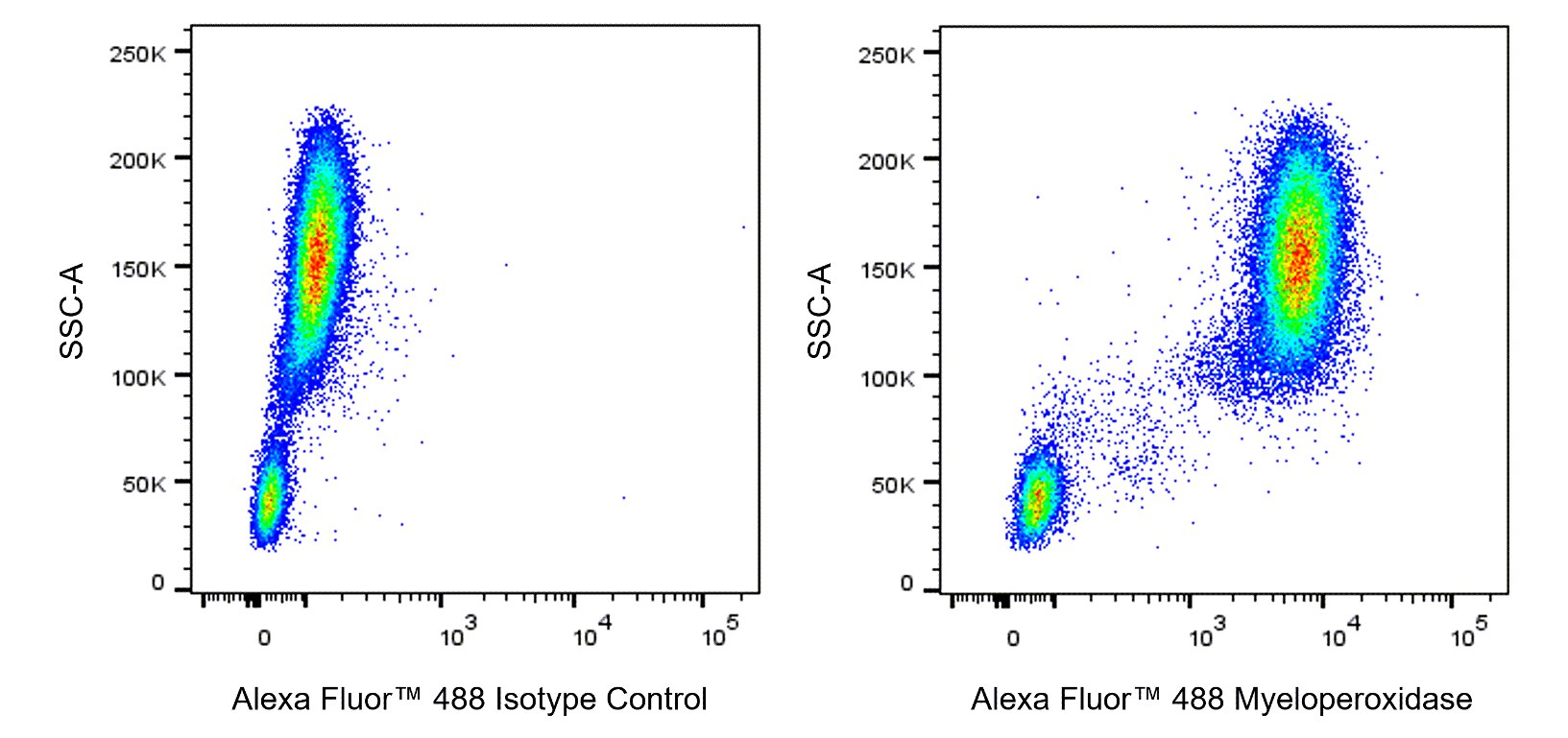 Alexa Fluor™ 488 Mouse Anti-Human Myeloperoxidase