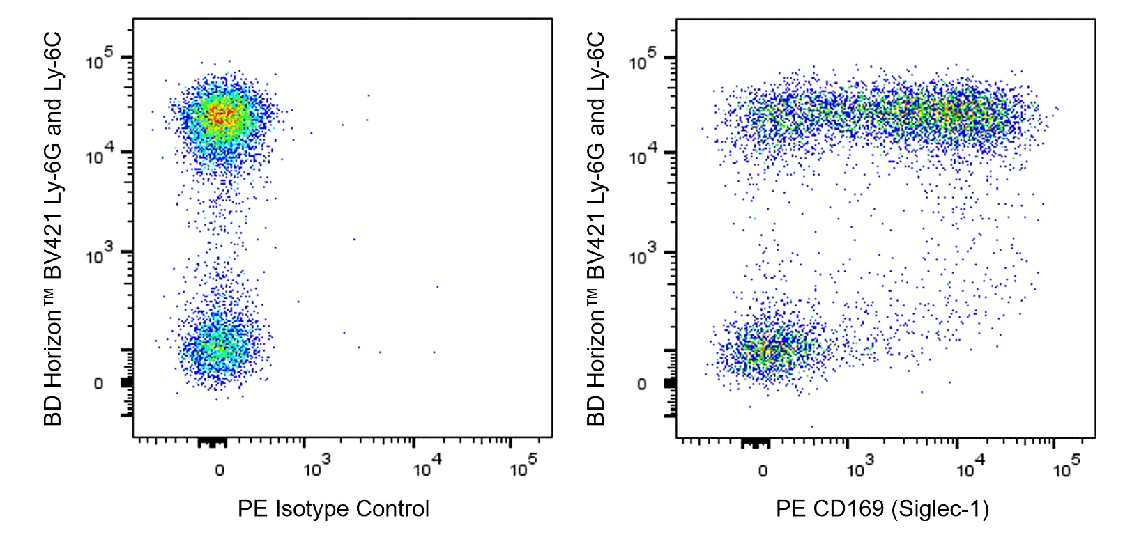 PE Rat Anti-Mouse CD169 (Siglec-1)