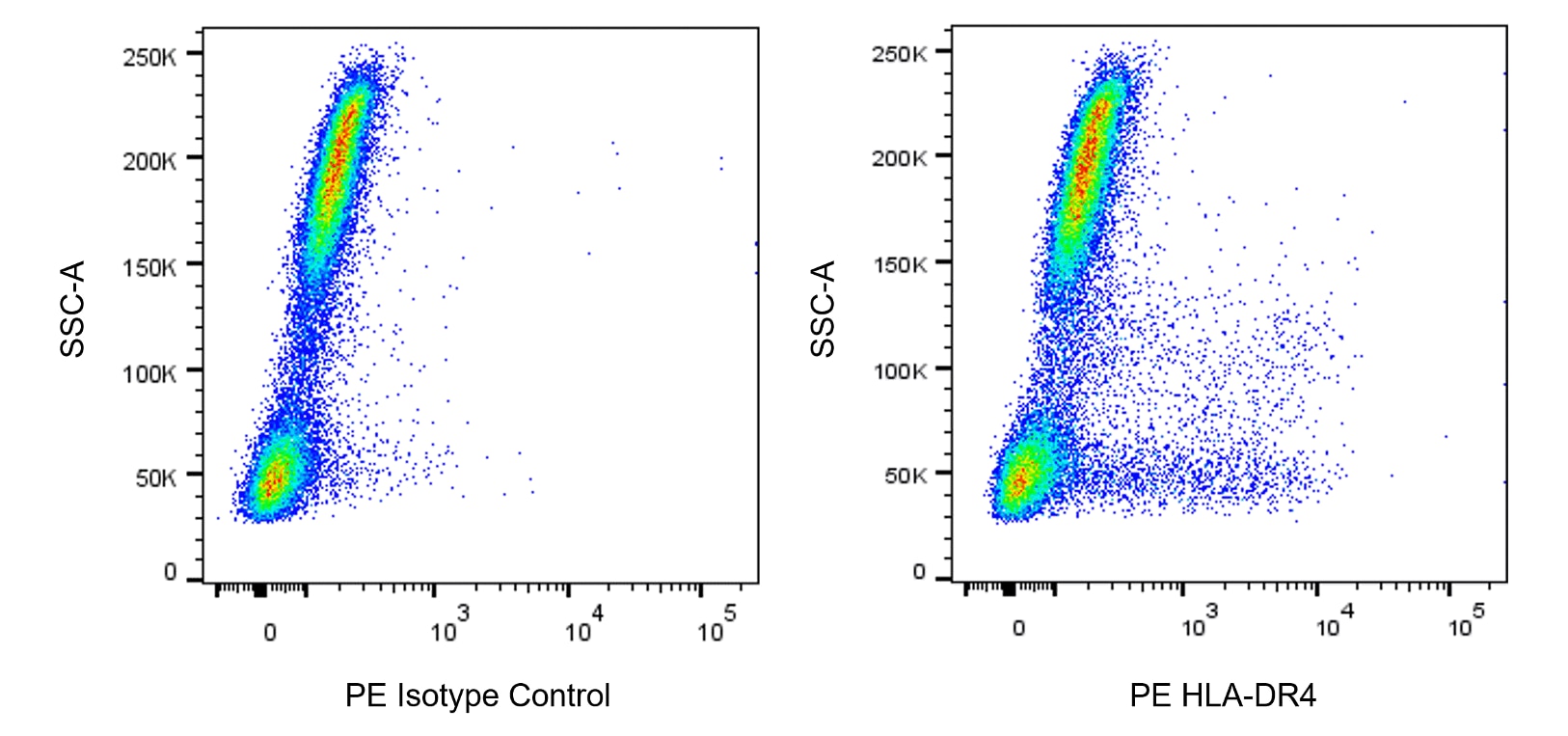PE Mouse Anti-Human HLA-DR4