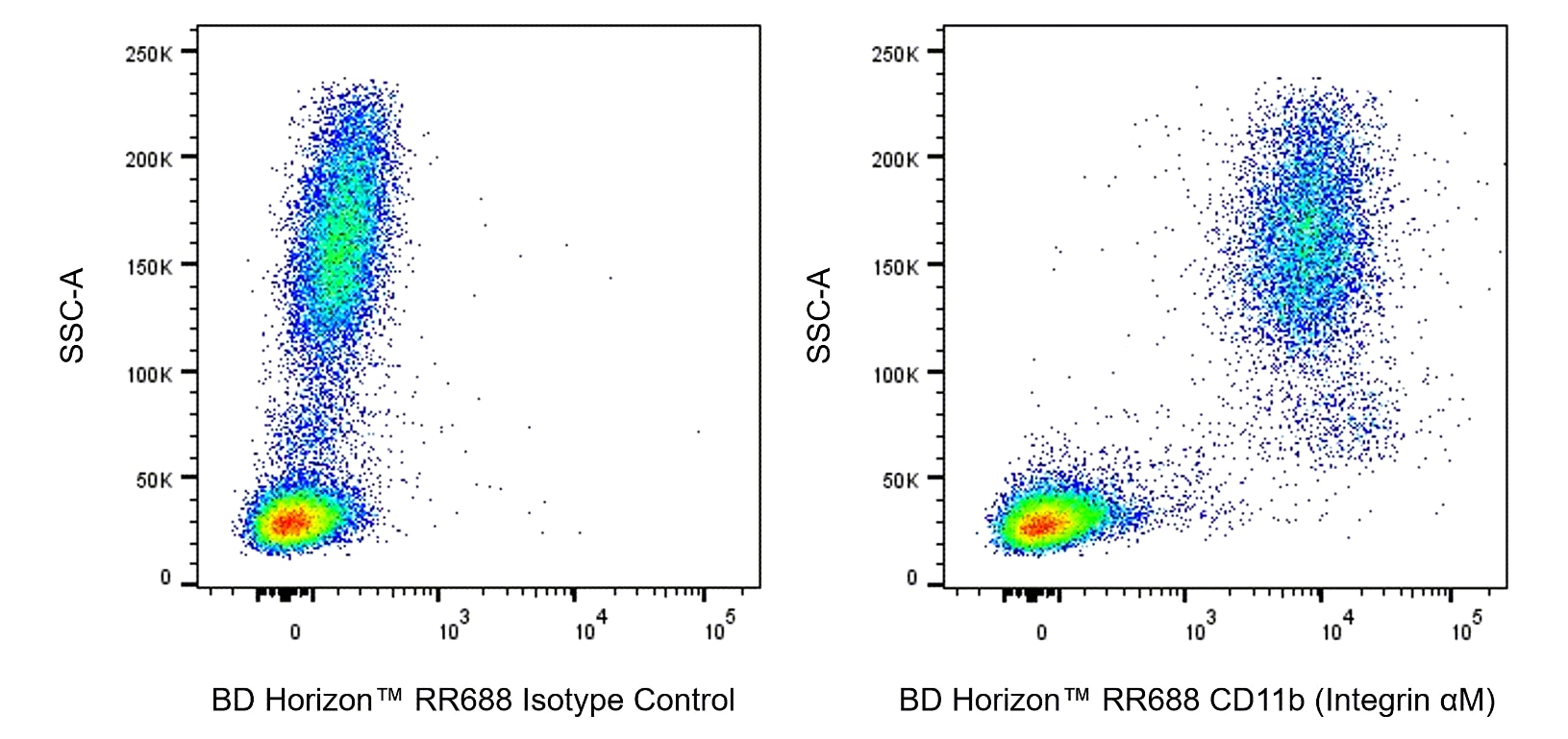 RR688 Rat Anti-CD11b (Integrin αM)