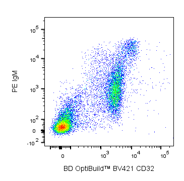 BV421 Mouse Anti-Rat CD32