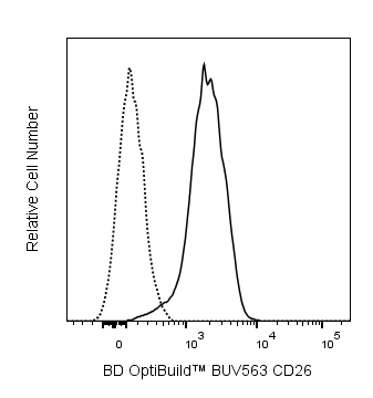 BUV563 Rat Anti-Mouse CD26