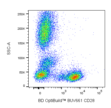 BUV661 Mouse Anti-Human CD28
