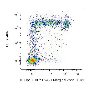 BV421 Mouse Anti-Rat Marginal Zone B Cells