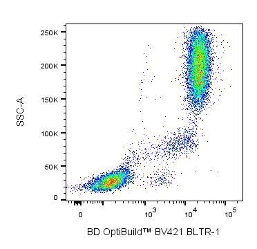 BV421 Mouse Anti-Human BLTR-1 (Leukotriene B4 Receptor)
