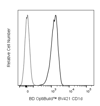BV421 Mouse Anti-Rat CD1d