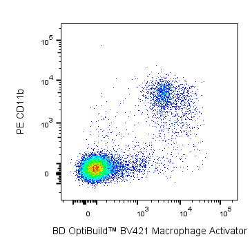 BV421 Mouse Anti-Rat Macrophage Activator