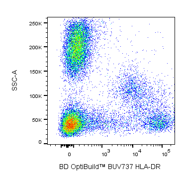 BUV737 Mouse Anti-Human HLA-DR
