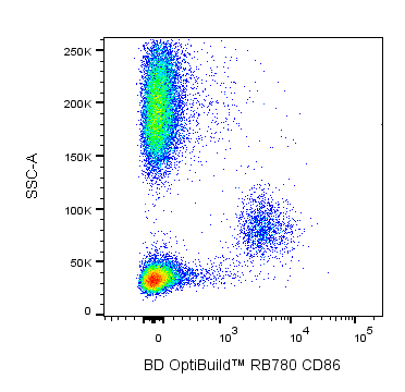 RB780 Mouse Anti-Human CD86 (B7-2)