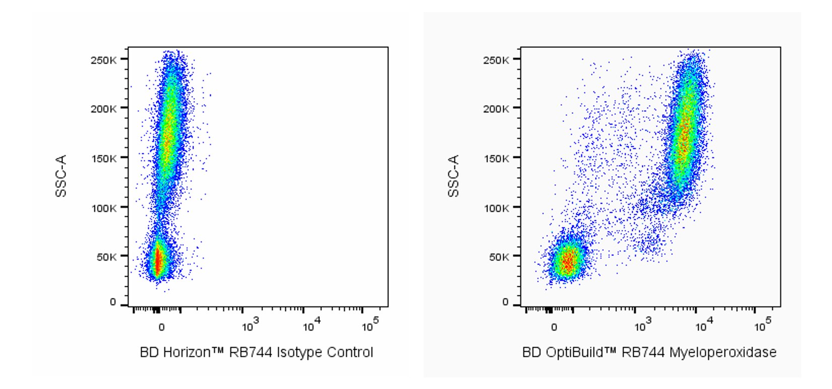 RB744 Mouse Anti-Human Myeloperoxidase