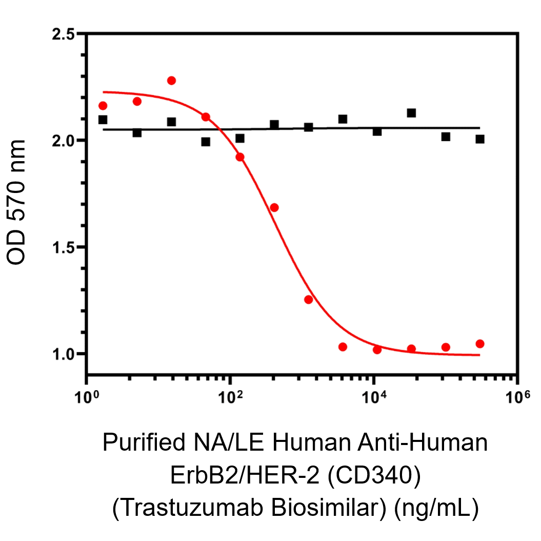 Purified NA/LE Anti-Human HER2 Trastuzumab Biosimilar
