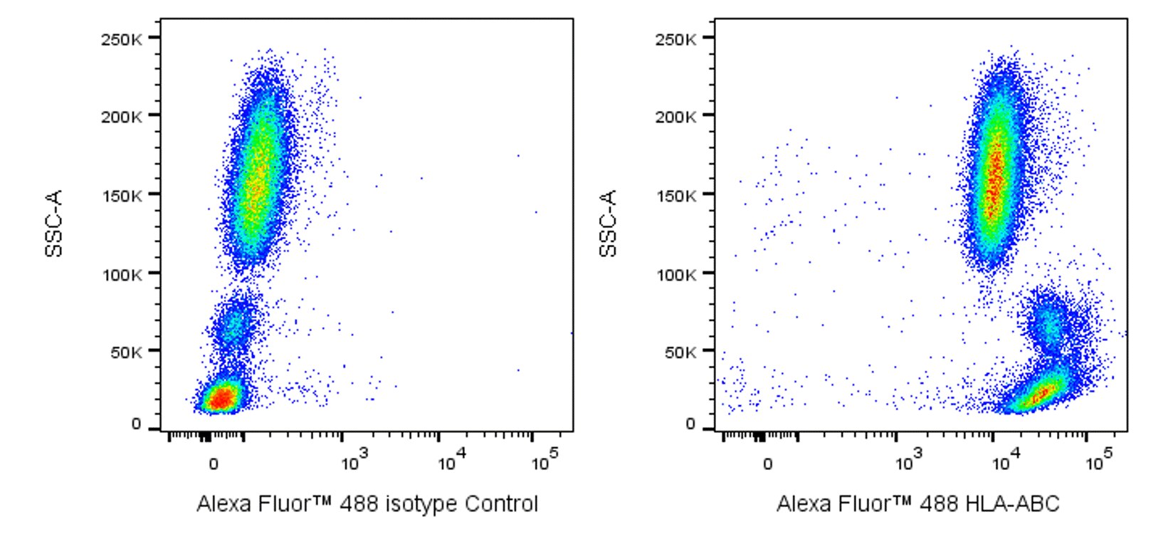 Alexa Fluor™ 488 Mouse Anti-Human HLA-ABC