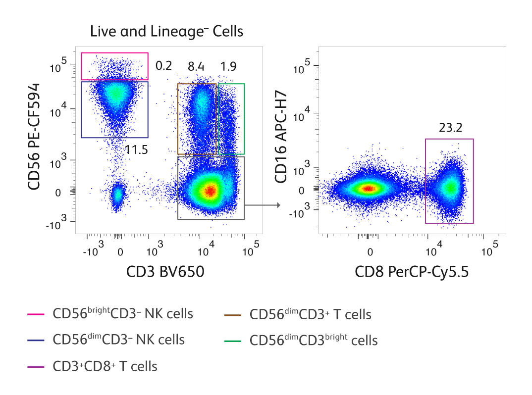 CY Toxic Immune Cell Identification