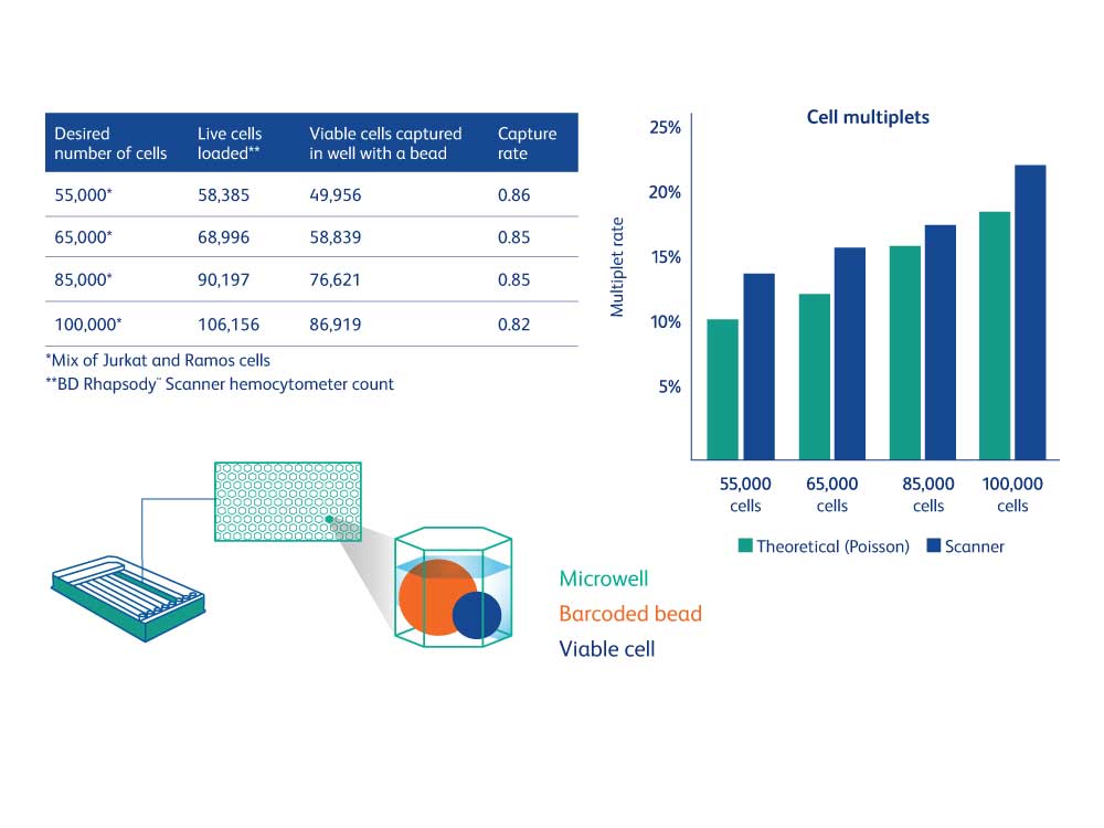 Rhapsody HT Xpress Expanded Throughput