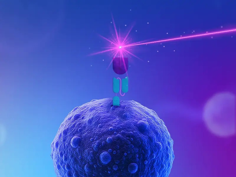 BD CAr Detection Reagents