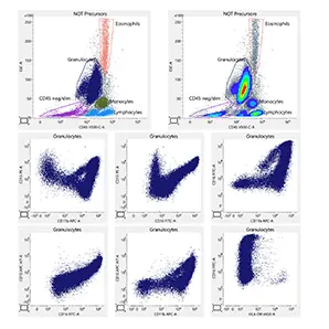 AML T1 Granulocyte Analysis