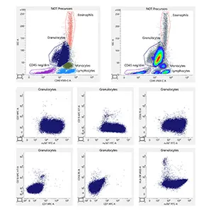 AML T4 Granulocyte Analysis