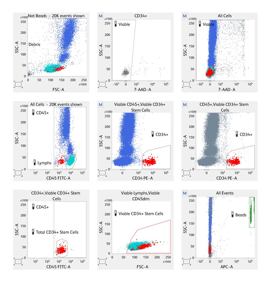 Stem Cell Enumeration Kit Lab Report