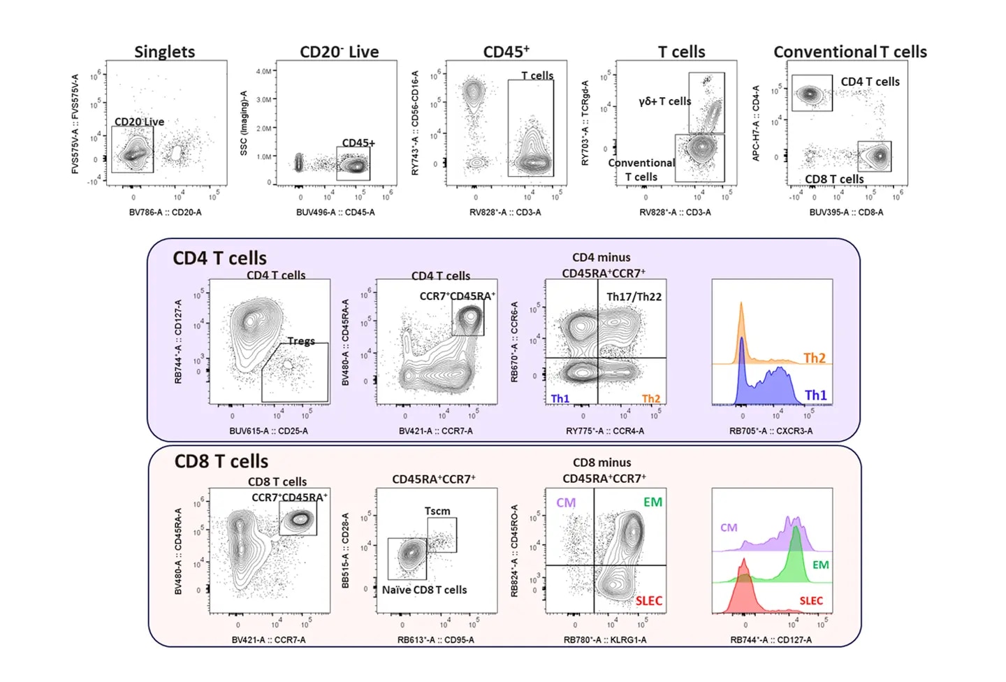 24-color T cell Activation Panel