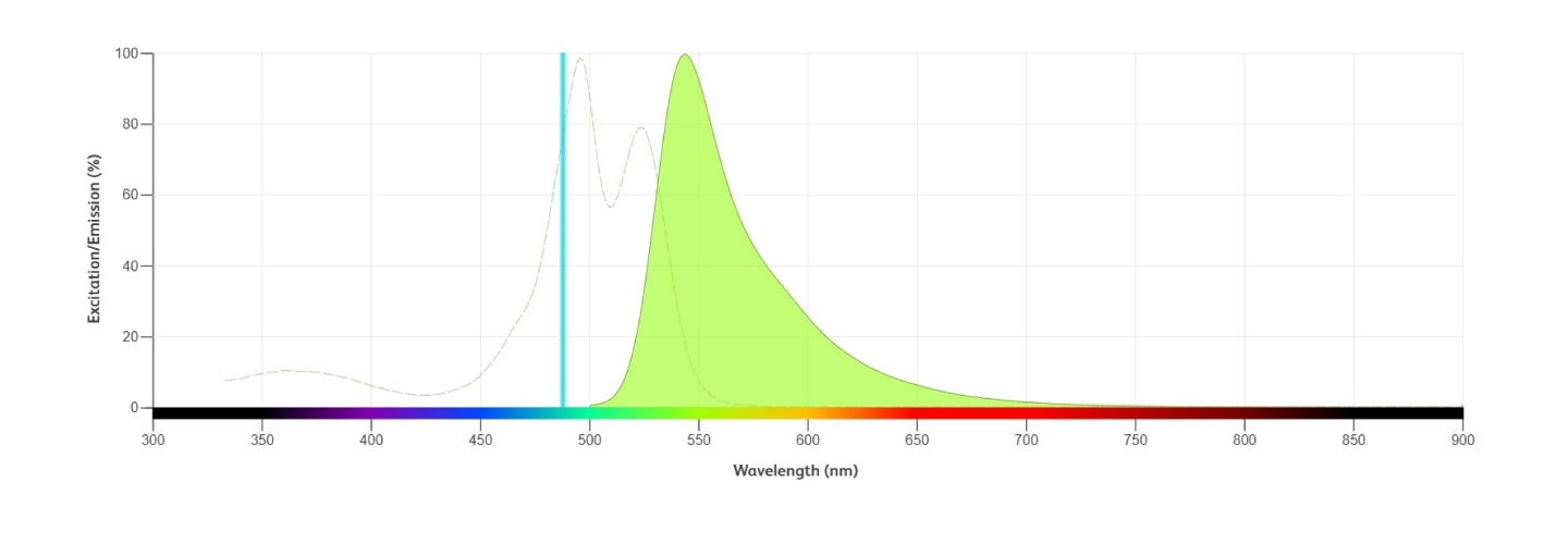 RB545 specifications