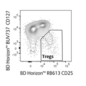 Gating strategy for detection of T cell subsets