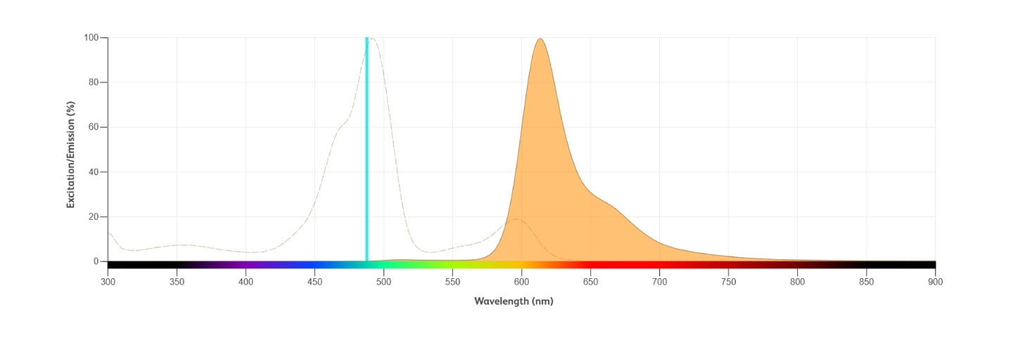 RB613 specifications