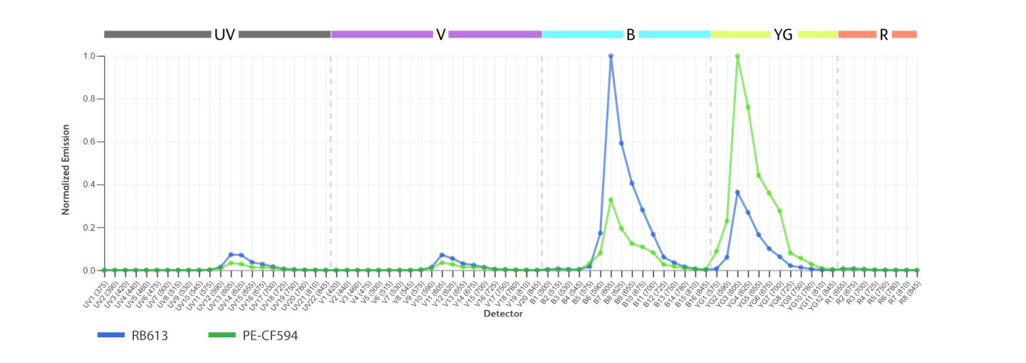 RB613 Excitation at 488 nm blue laser