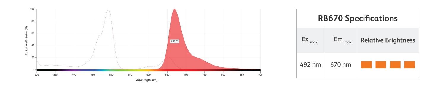 RB670 Specifications