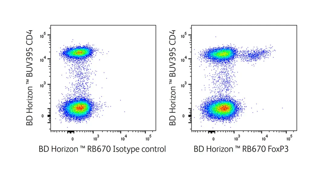 RB670 Intracellular Marker