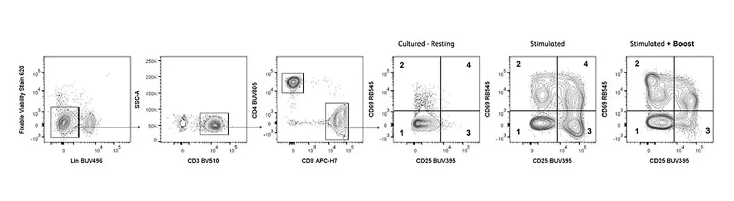 T cell subset detection