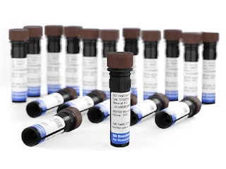 BD Horizon RealBlue™ 705 for Flow Cytometry | BD Real Dyes
