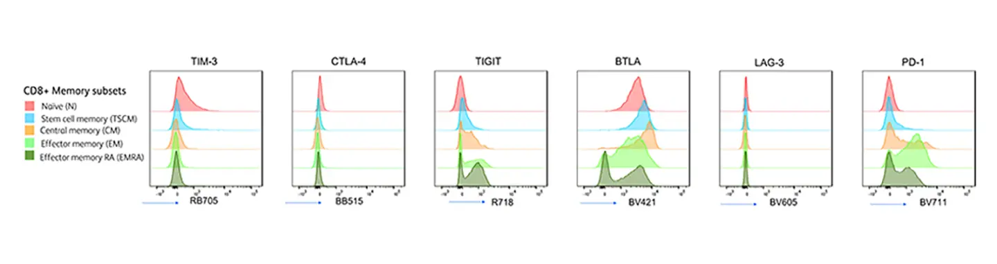 CD8 T cell Subsets Inhibitory Marker Expression