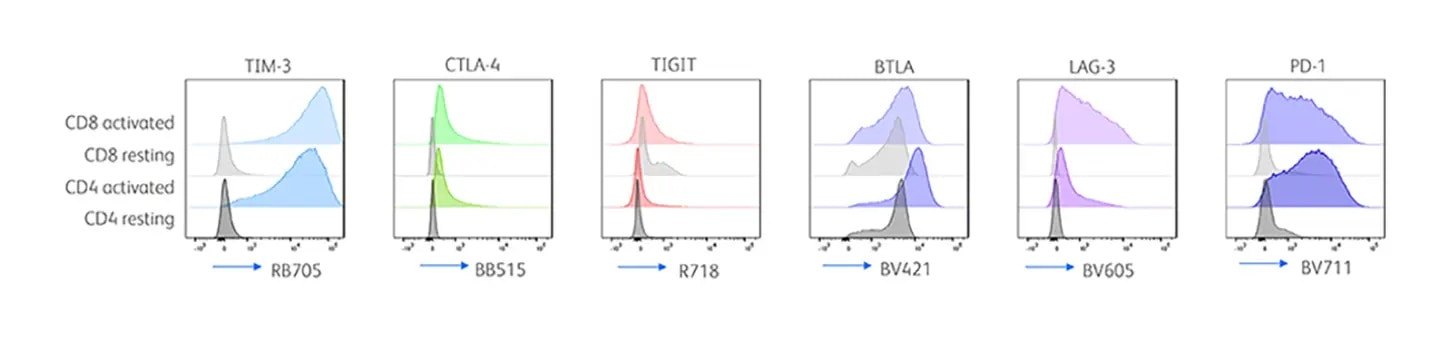 T cell inhibitory markers are upregulated upon activation