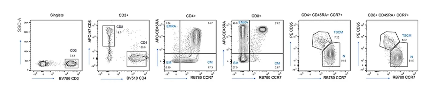 RB780 Resolution- n-BD FACSLyric 12-Color Panel