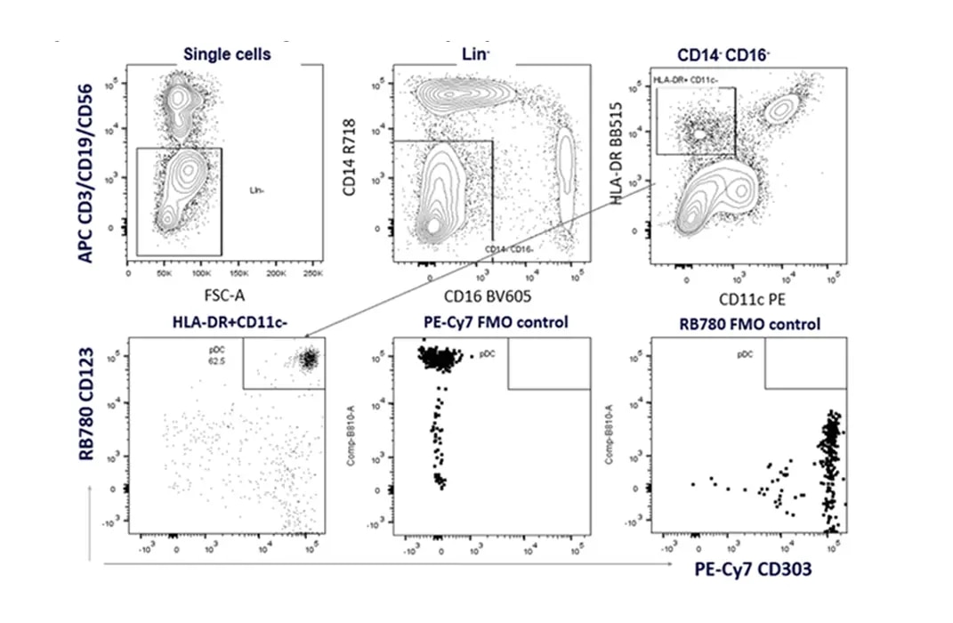 RB780-PE-Cy7-Multicolor-Flow-Usage