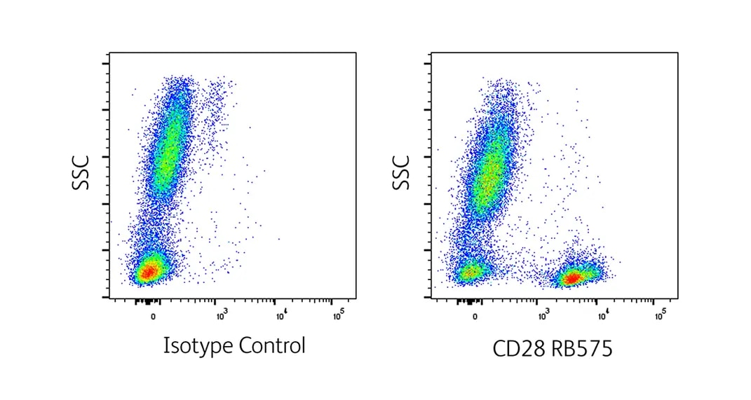 RB575 Antigen Expression Marker Support