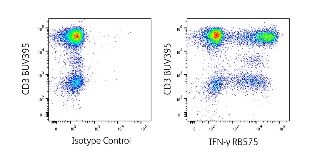 RB575 Intracellular Marker Detection