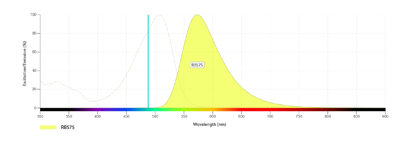 RB575 specifications