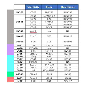 17-color activated T cell panel design strategy