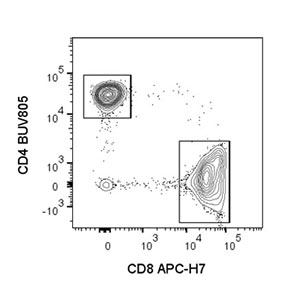 Gating strategy for detection of T cell subsets