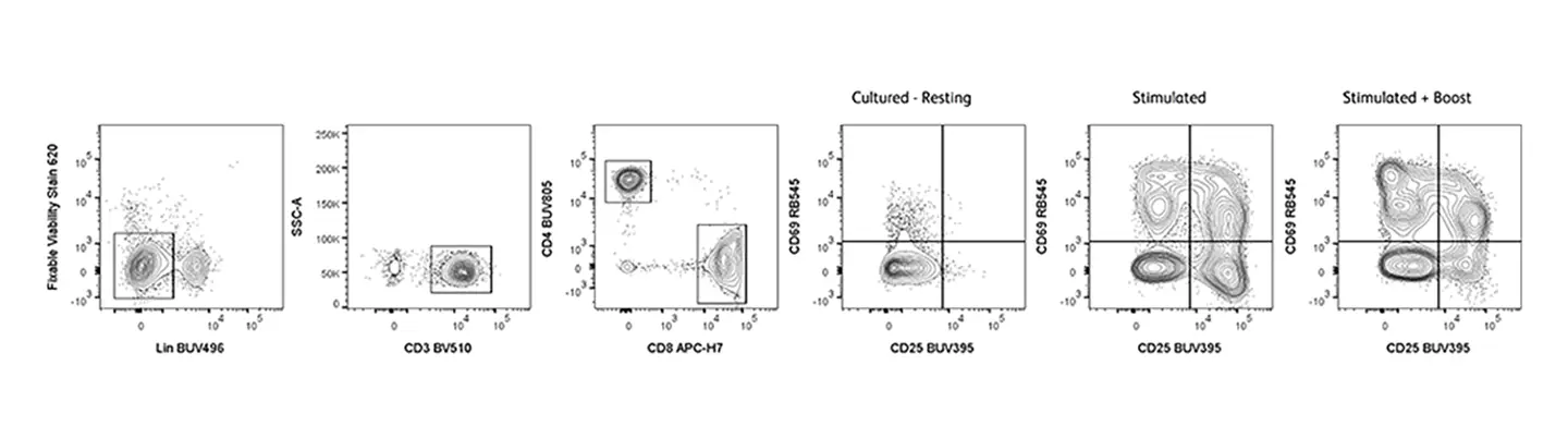 RB744 T cell subset gating strategy