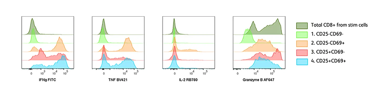 CD8+ T cell Activation Inracellular Cytokine Expression