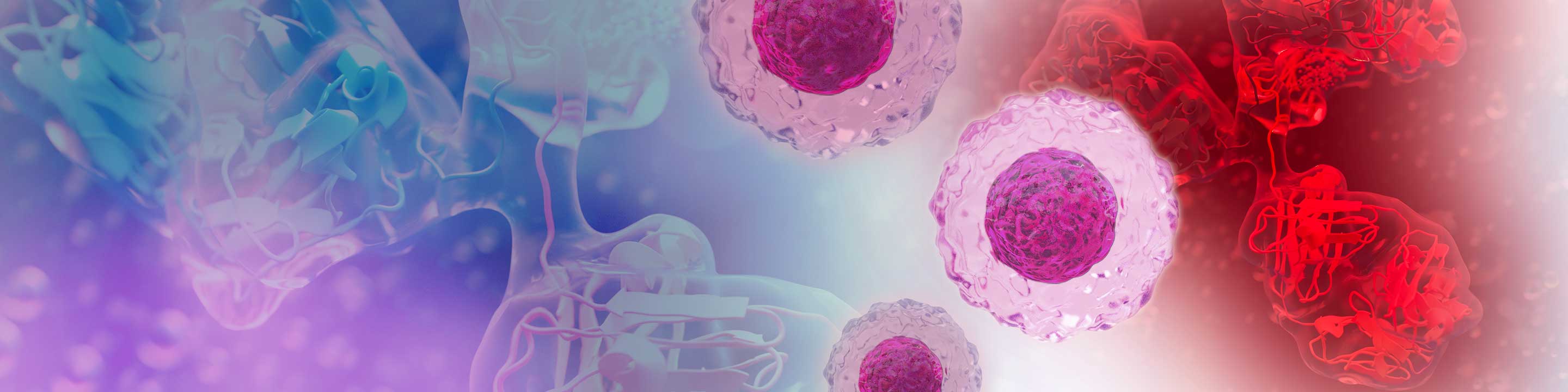 RY 586 and RB 780 Banner