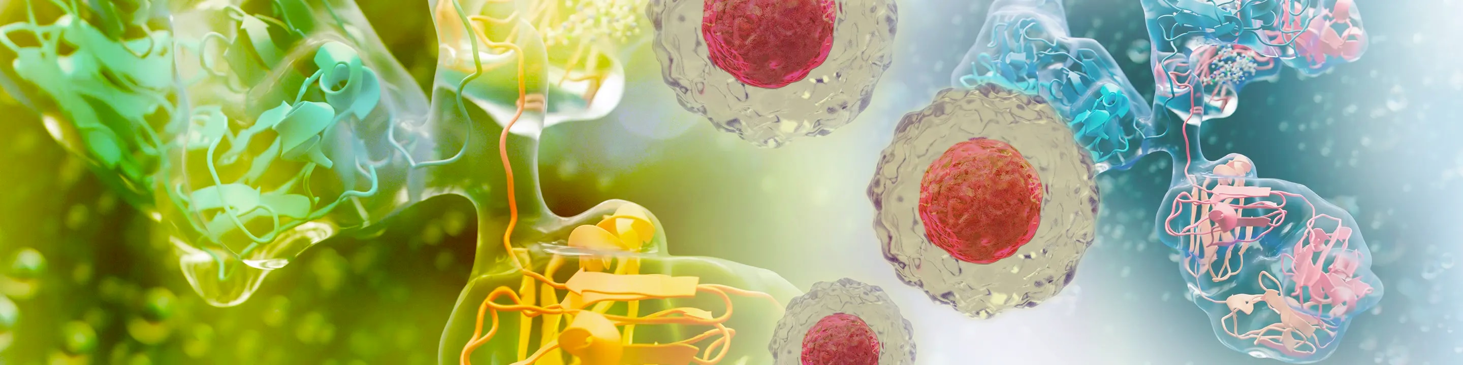 BD Horizon RealYellow™ 586 Reagents