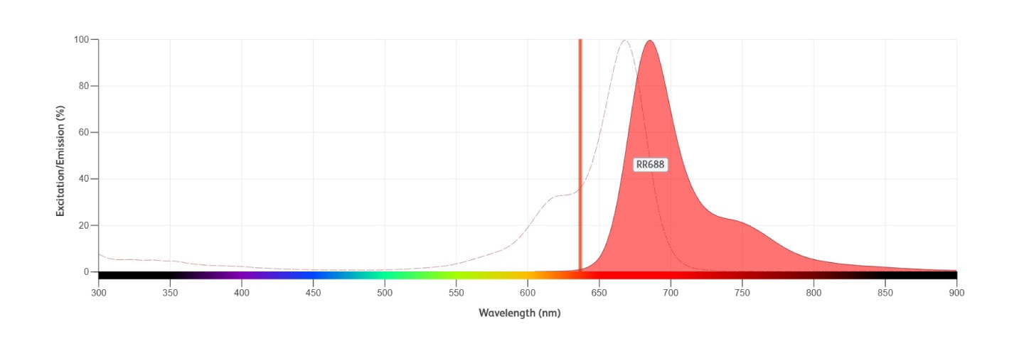 eryページ Red Nucleic Acid Stain