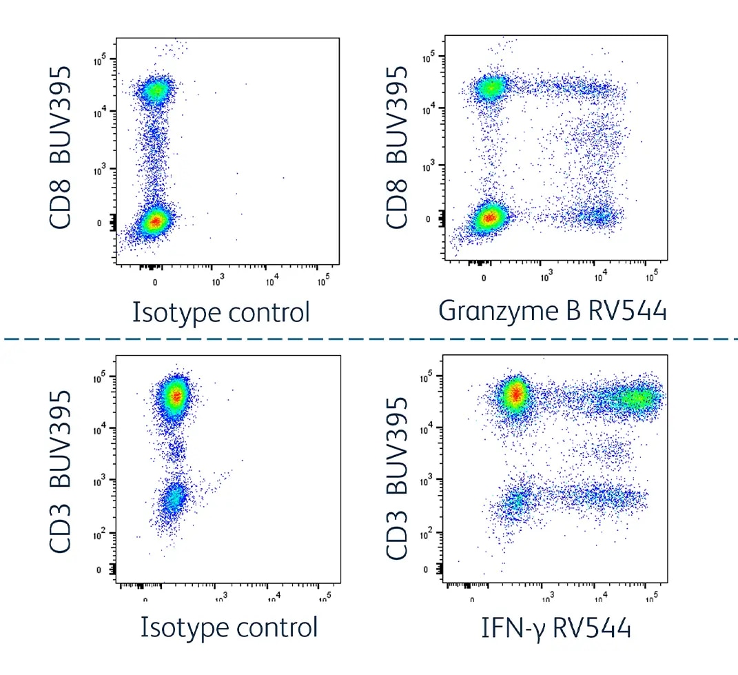 RB575 Intracellular Marker Detection