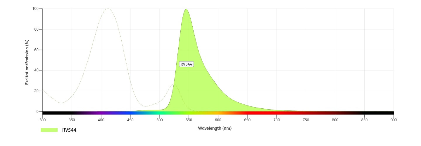 RV544 specifications
