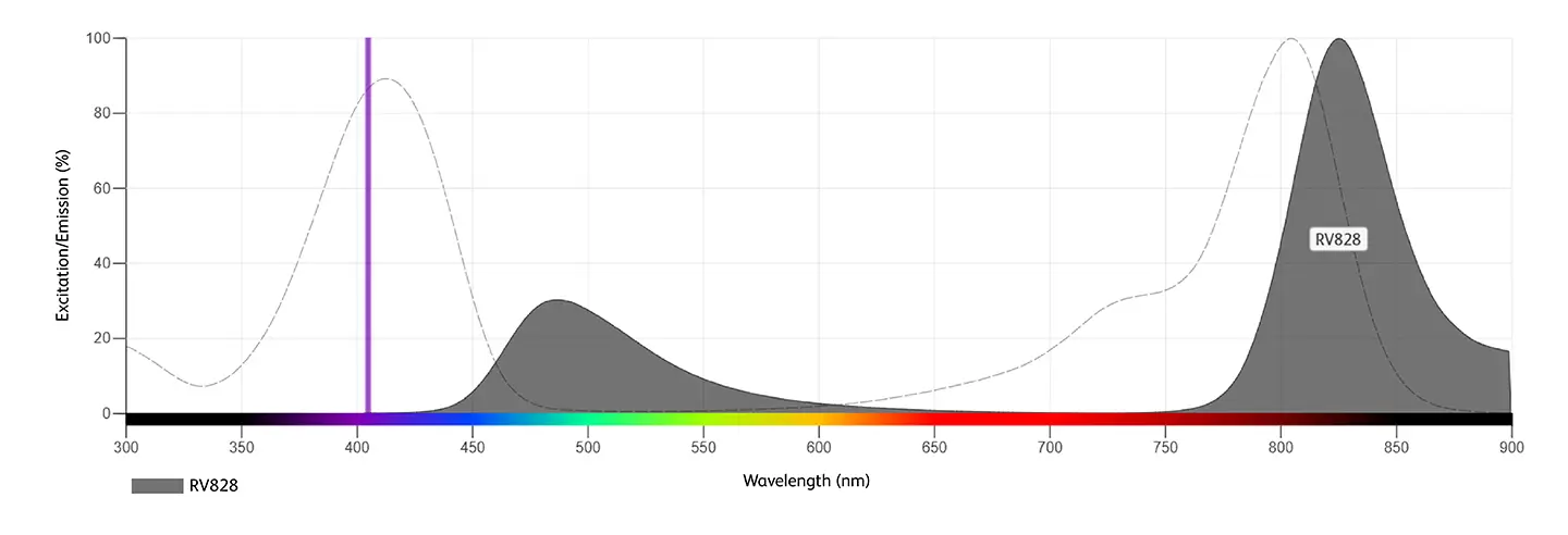 RV828 Specifications